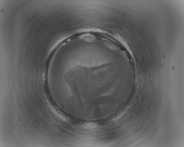 X0000084560063200703021434