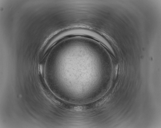 X0000084560064200703021434