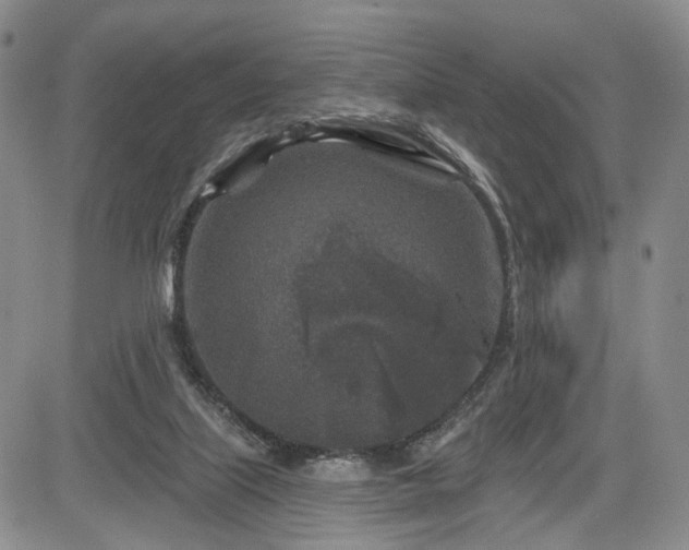 X0000084560067200703021434