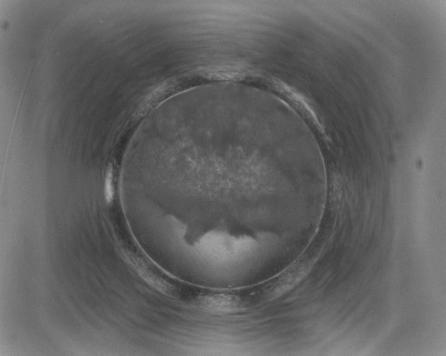 X0000084560069200703021434