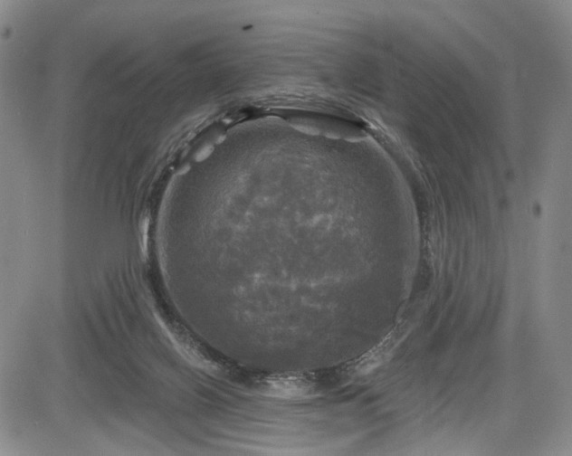 X0000084560070200703021434