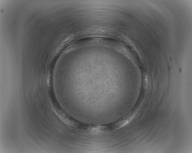 X0000084560072200703021434