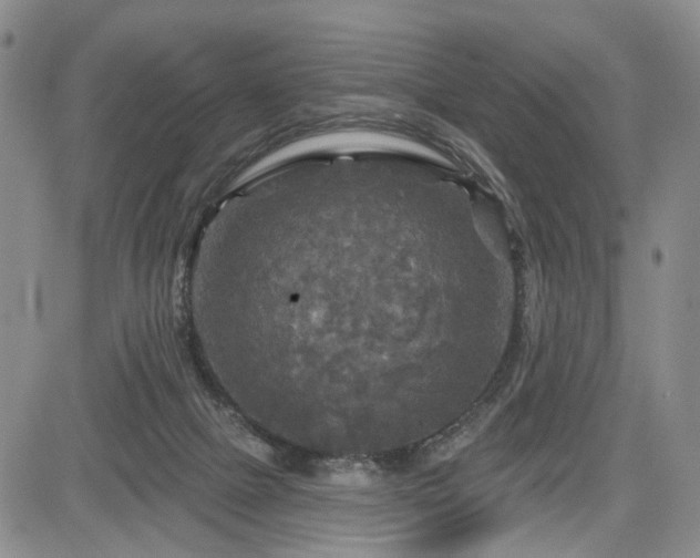 X0000084560073200703021434