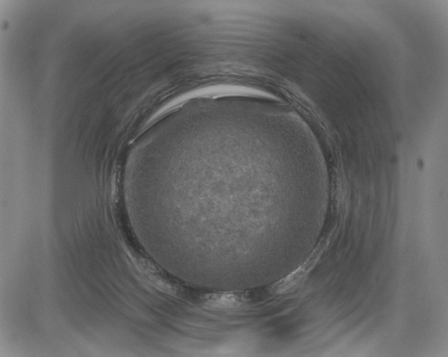 X0000084560074200703021434