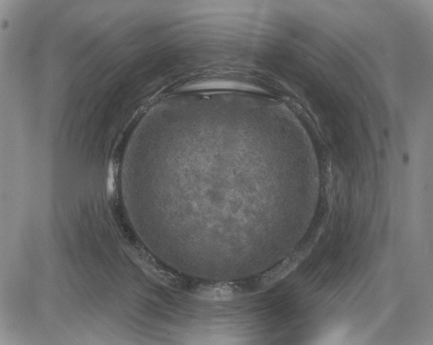 X0000084560075200703021434