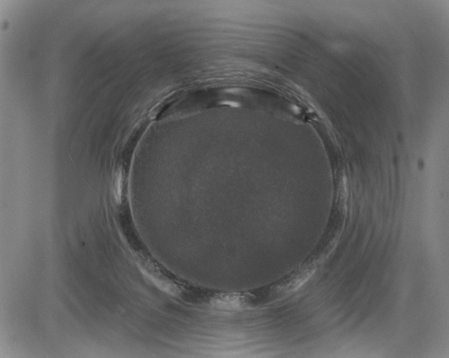 X0000084560076200703021434