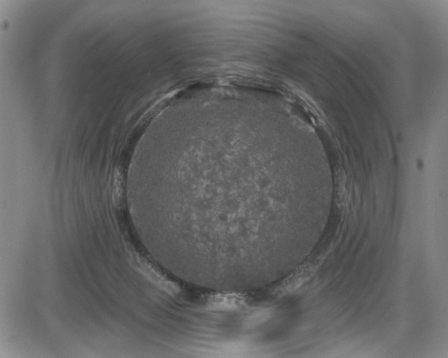 X0000084560077200703021434