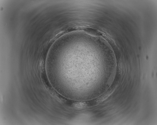 X0000084560079200703021434