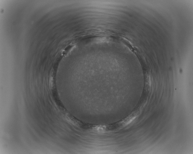 X0000084560080200703021434