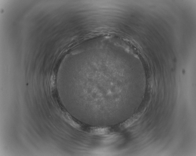 X0000084560081200703021434