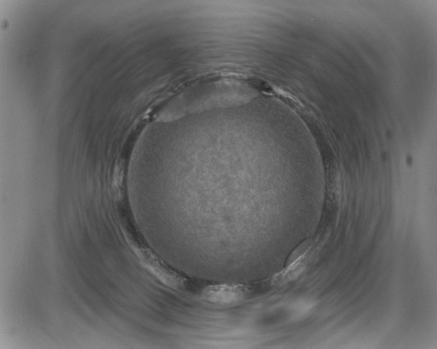 X0000084560082200703021434