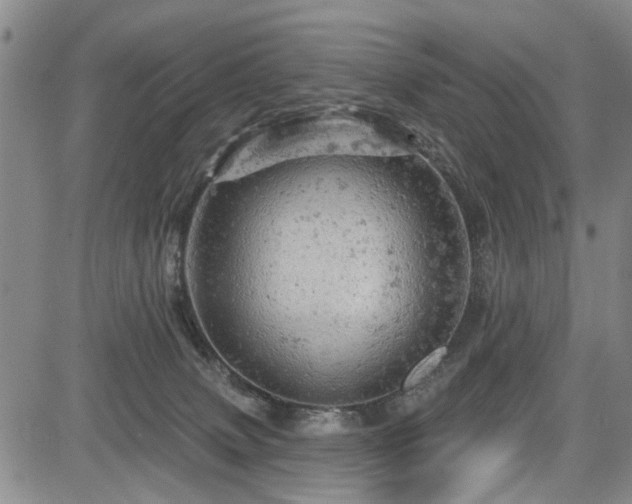 X0000084560083200703021434