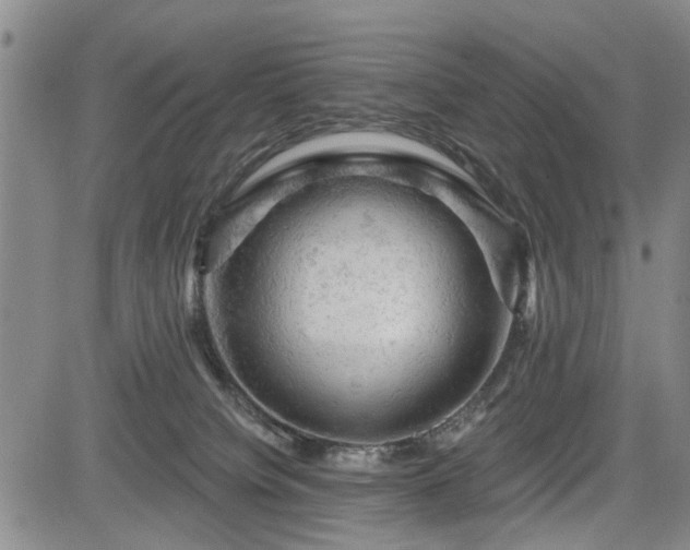 X0000084560084200703021434