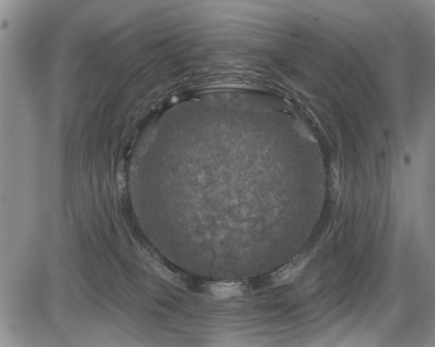 X0000084560085200703021434