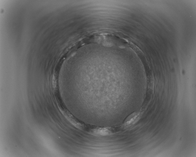 X0000084560086200703021434