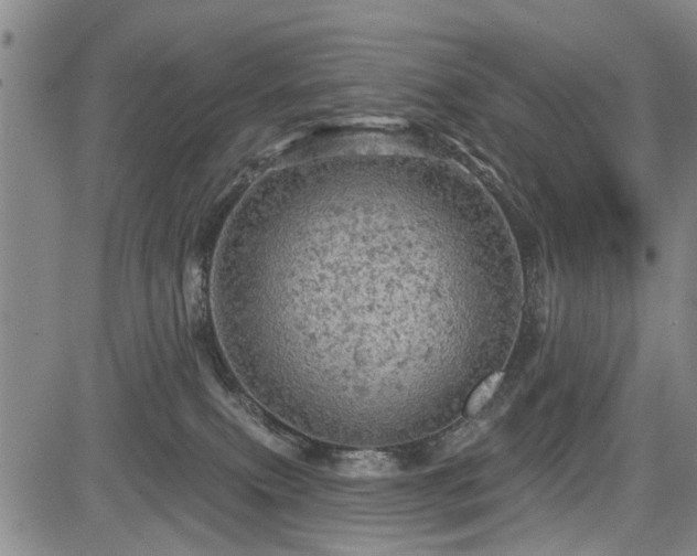 X0000084560087200703021434