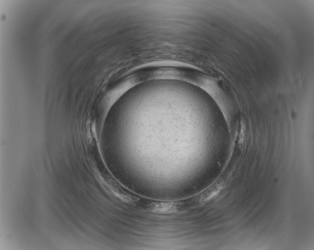 X0000084560088200703021434