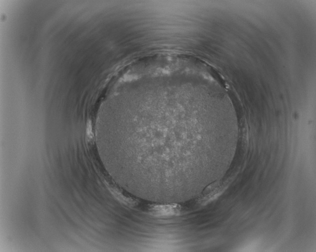 X0000084560089200703021434