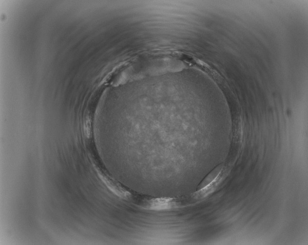 X0000084560090200703021434