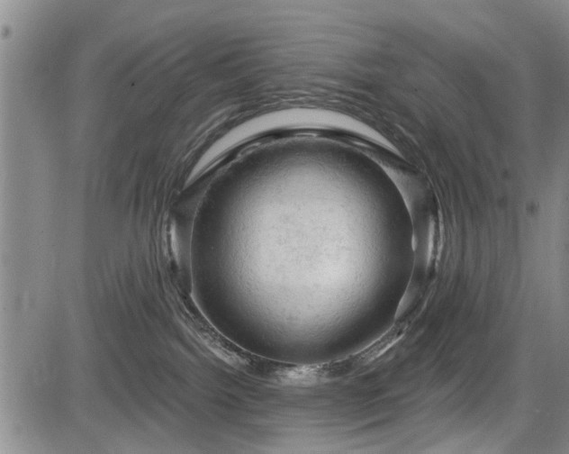 X0000084560092200703021434