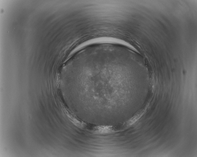 X0000084560093200703021435