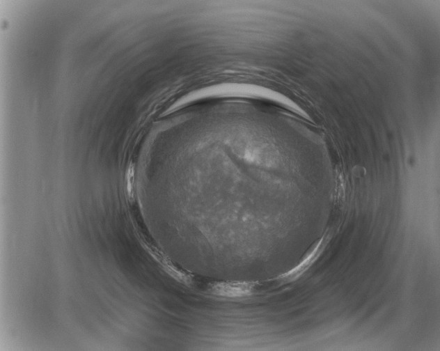 X0000084560094200703021435