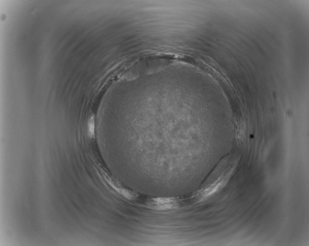 X0000084560095200703021435