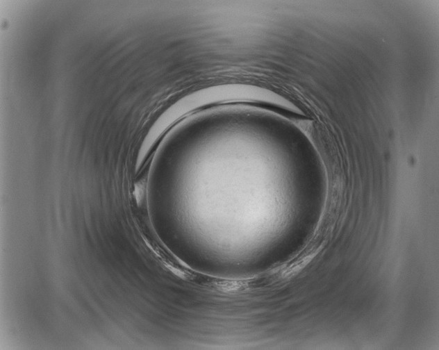 X0000084560096200703021435