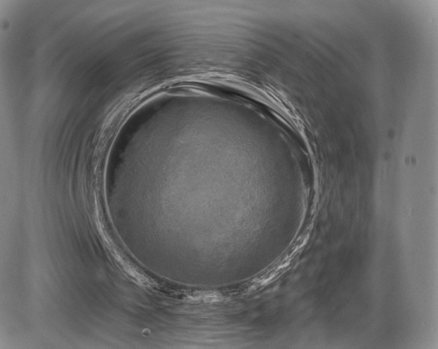 X0000084560097200703021434