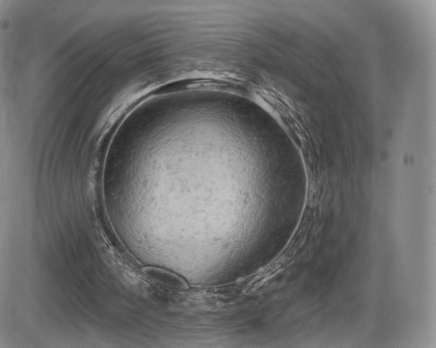 X0000084560098200703021434