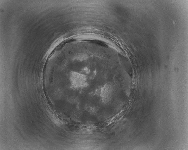 X0000084560099200703021434