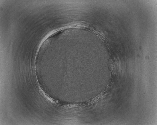 X0000084560100200703021434