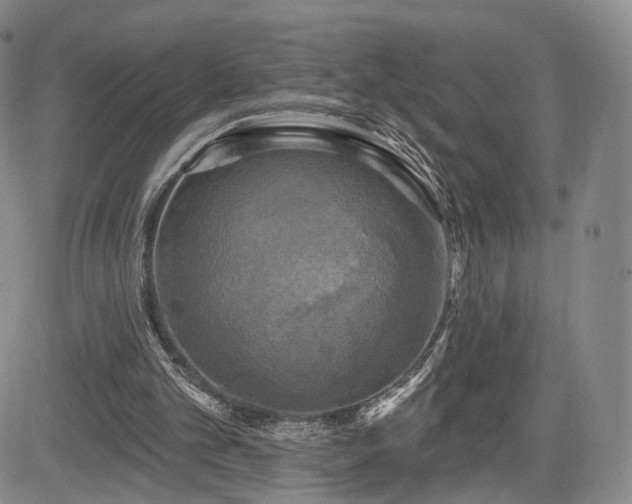 X0000084560101200703021434