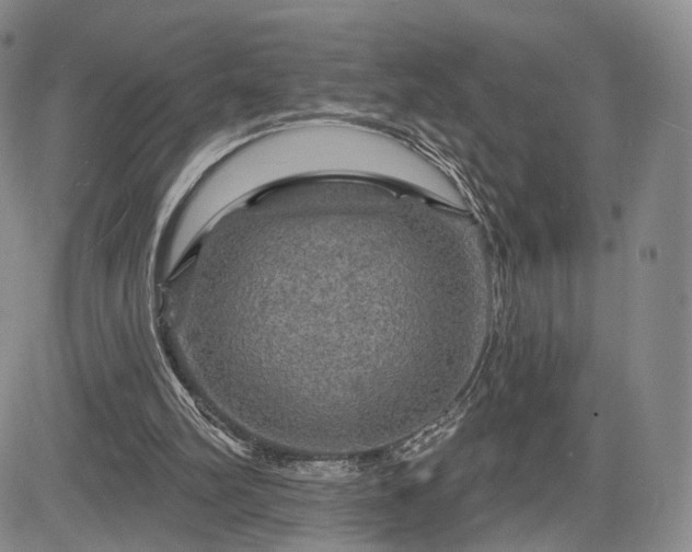 X0000084560102200703021434