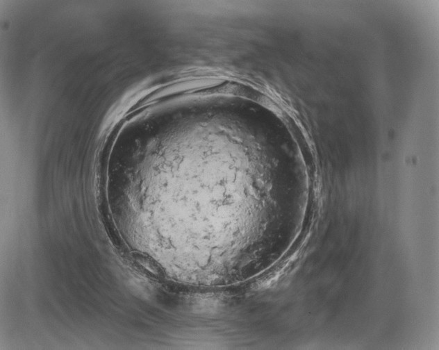 X0000084560103200703021434