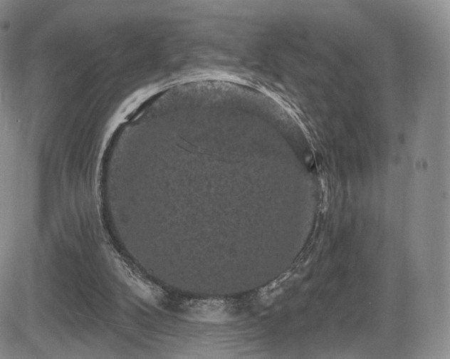 X0000084560104200703021434