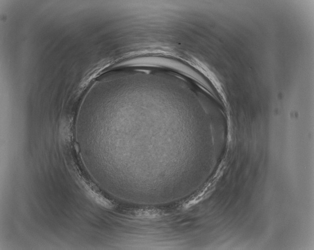 X0000084560105200703021434