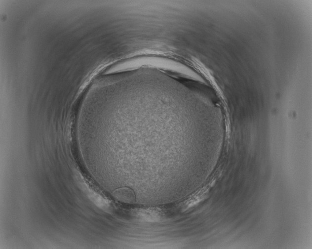 X0000084560106200703021434