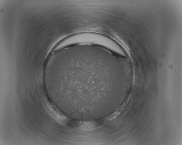 X0000084560107200703021434