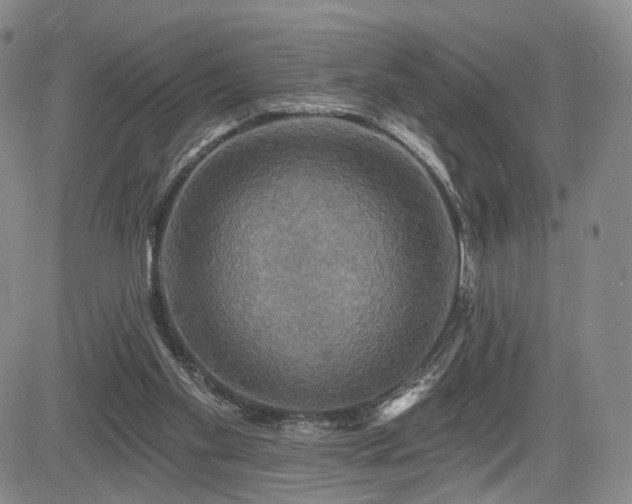 X0000084560109200703021434