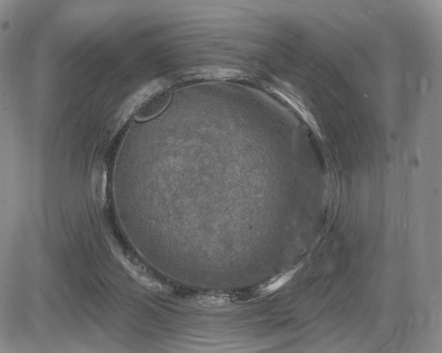 X0000084560110200703021434