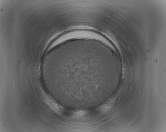 X0000084560111200703021434