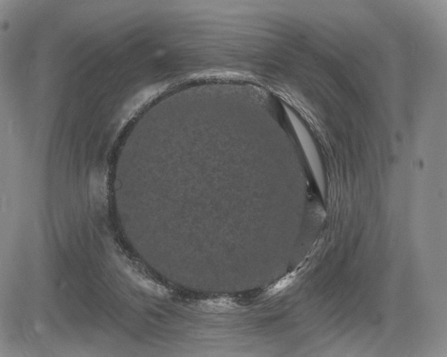 X0000084560112200703021433