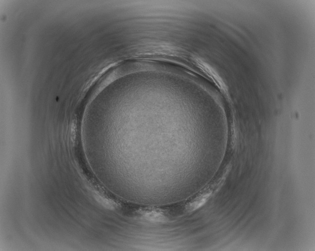 X0000084560113200703021433