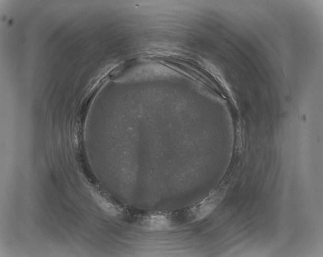 X0000084560114200703021433