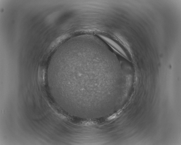 X0000084560115200703021433