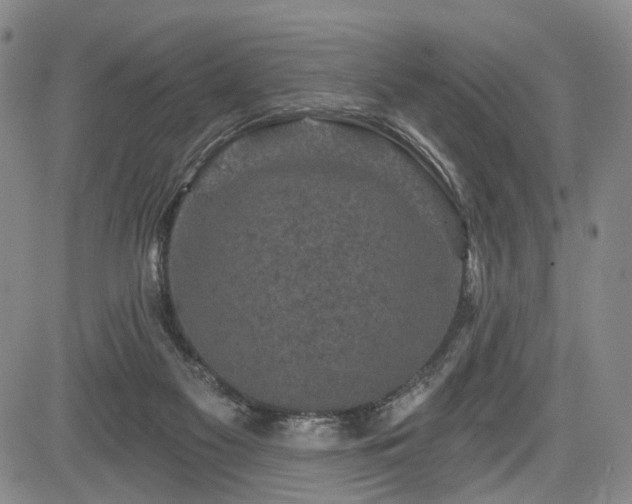 X0000084560117200703021433