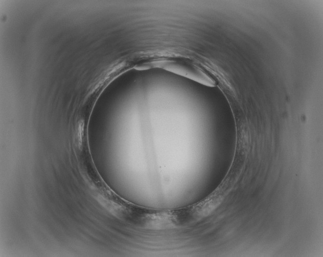 X0000084560118200703021433