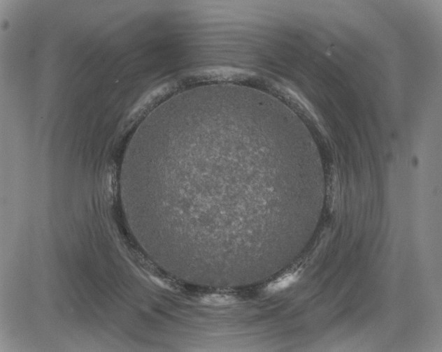 X0000084560119200703021433