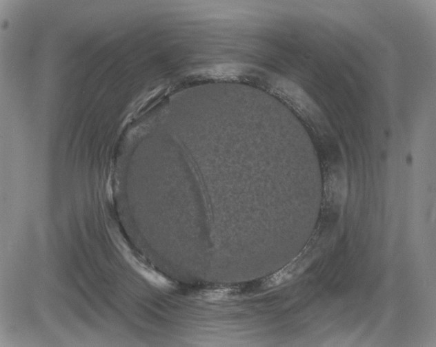 X0000084560120200703021433